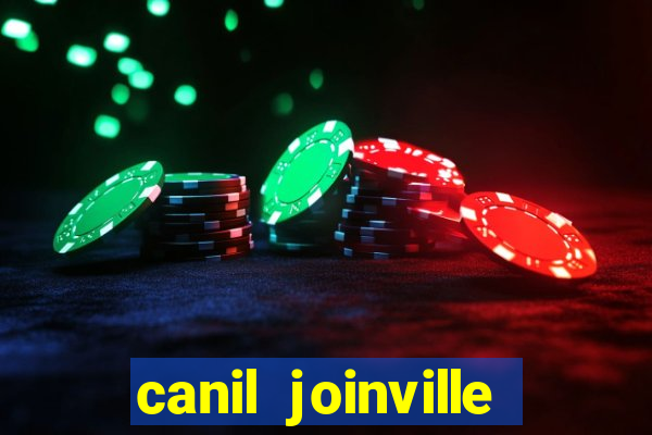 canil joinville vila nova